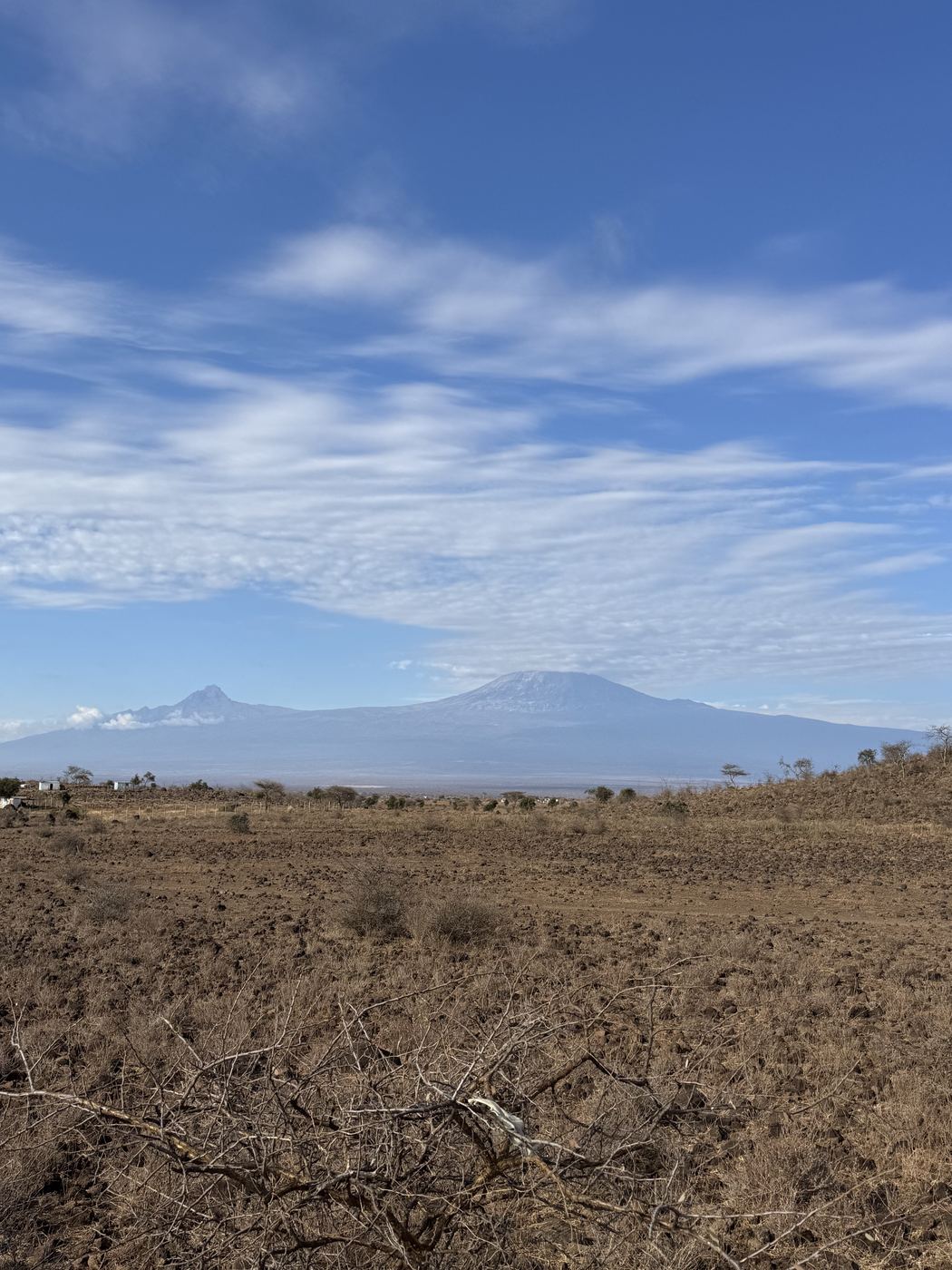 Kilimanjaro seen across the land at Isineti