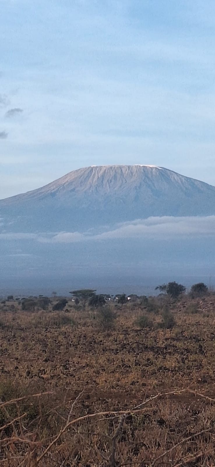 Kilimanjaro seen from the Isineti land