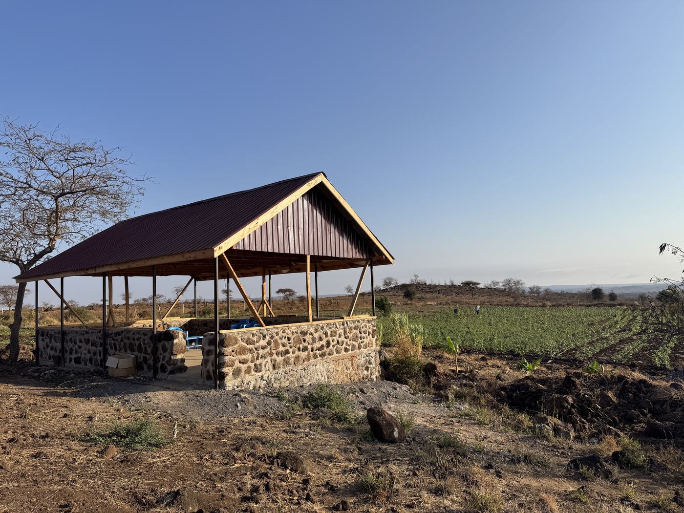 The first building of the Isineti Project: stone base, timber roof, with the cultivated fields behind