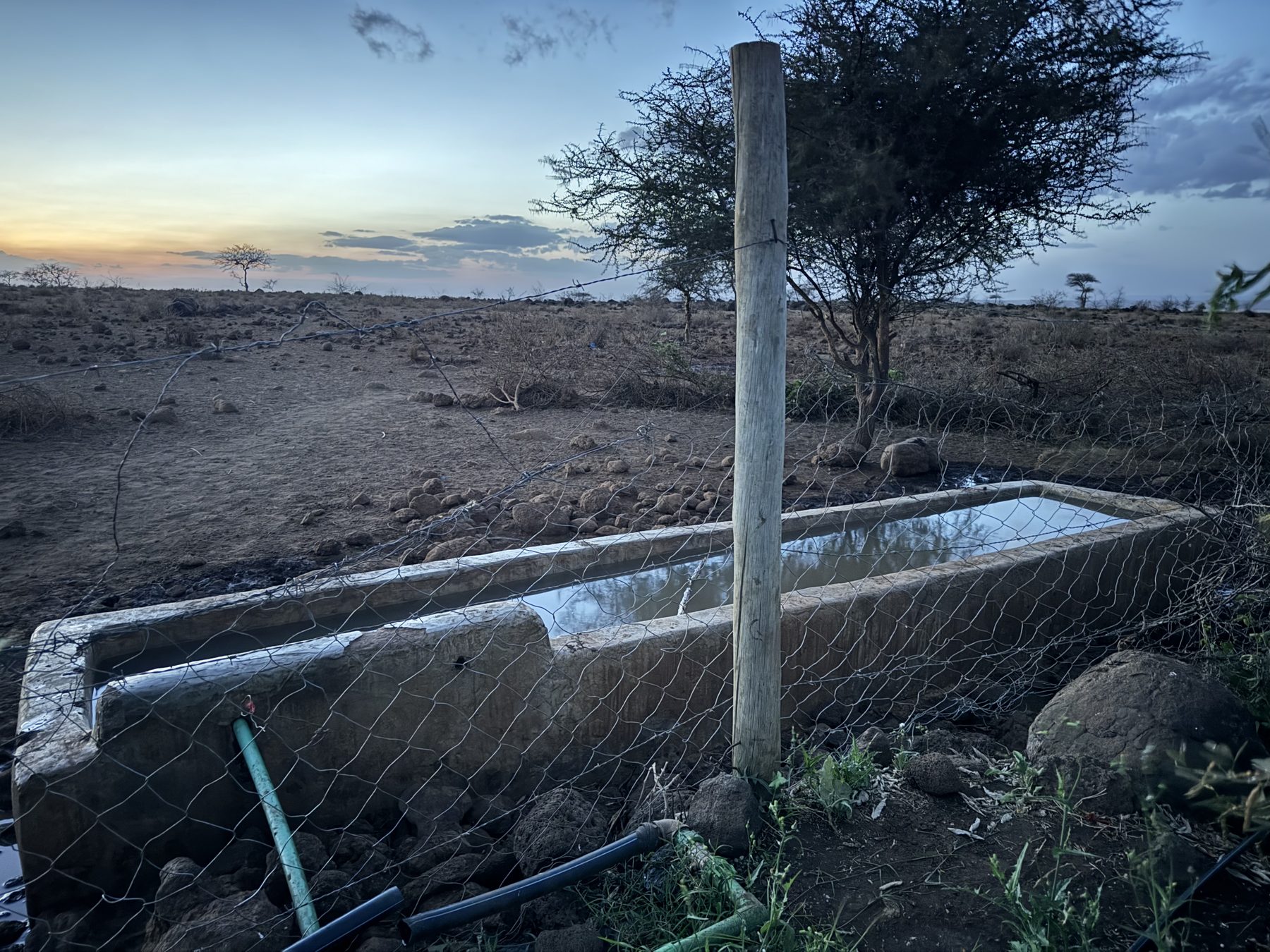 The water trough of the Isineti Project at dusk, in the dry Maasai plain